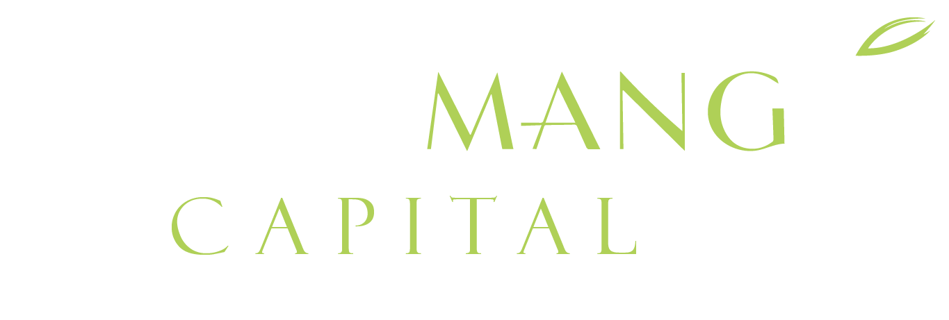 Black Mango Capital Group